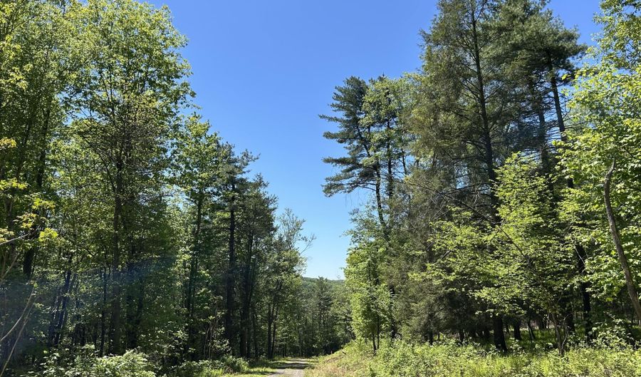 TALLMAN HOLLOW ROAD, Montoursville, PA 17754 - 0 Beds, 0 Bath