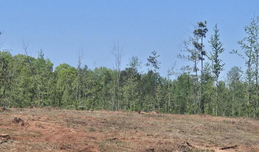 0 Elberton Hwy, Lincolnton, GA 30817 - 0 Beds, 0 Bath