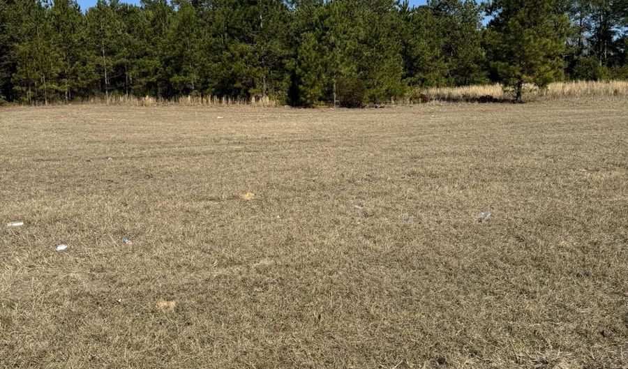 DUNBARTON Boulevard, Barnwell, SC 29812 - 0 Beds, 0 Bath