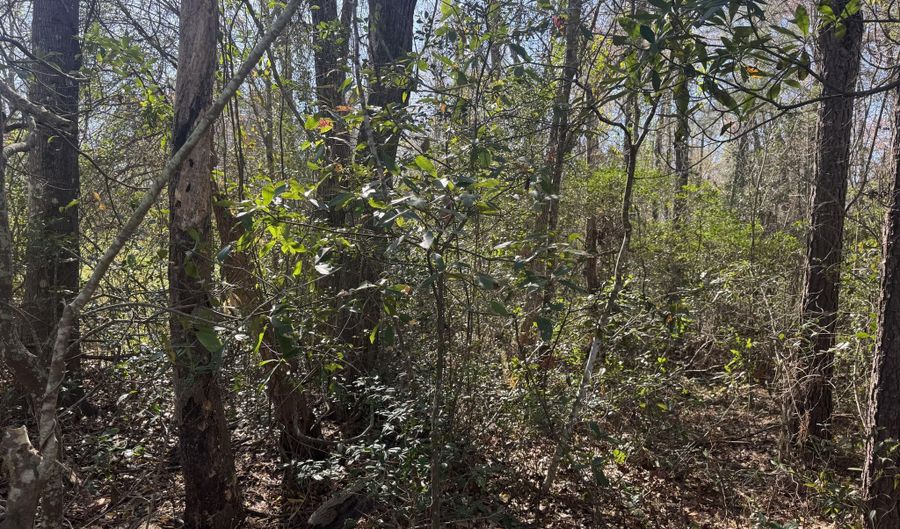 Little Prong Road NW lot 2 & 3, Ash, NC 28420 - 0 Beds, 0 Bath
