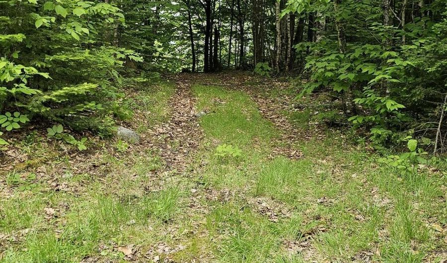 Lot # 6 Mill Priviledge Road Road, Carroll Plt, ME 04487 - 2 Beds, 0 Bath