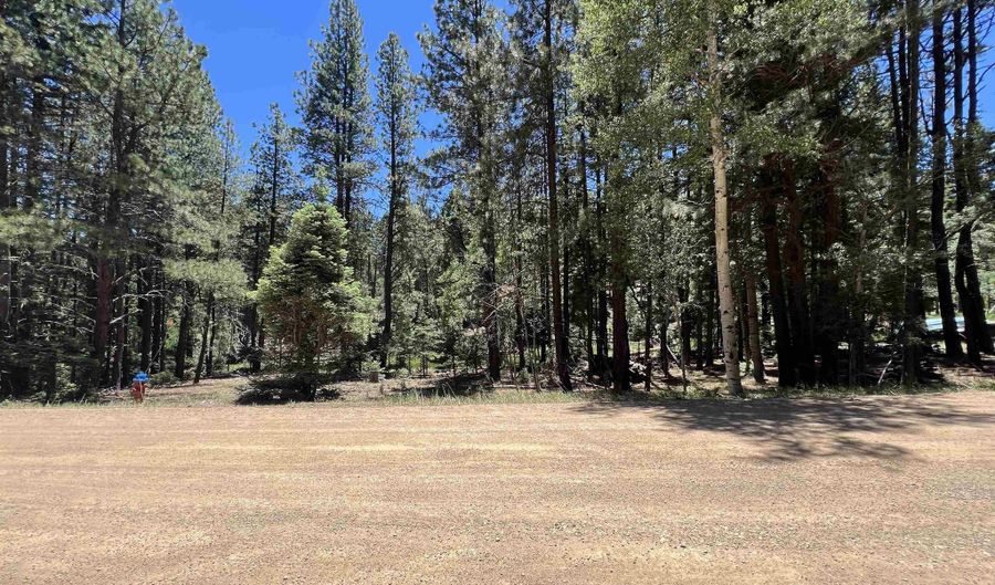 Alpine Lake Way Lot 3 Blk E, Angel Fire, NM 87710 - 0 Beds, 0 Bath