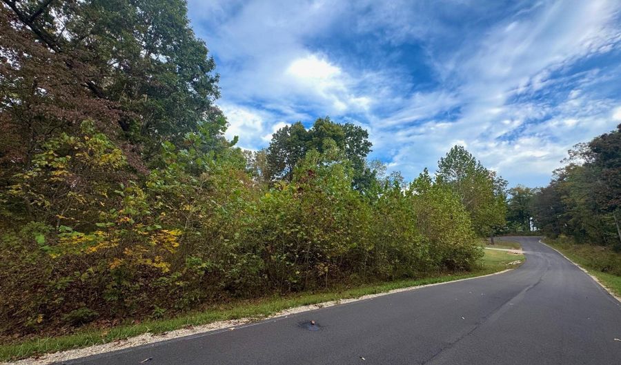 Goodwin Cove lot 29, Ash Flat, AR 72513 - 0 Beds, 0 Bath