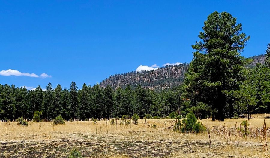 Tbd STONE CREEK RD CR 2117, Alpine, AZ 85920 - 0 Beds, 0 Bath