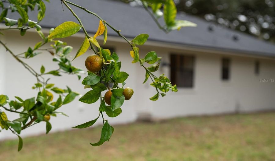 154 W LEWIS Ave, Apopka, FL 32712 - 3 Beds, 2 Bath