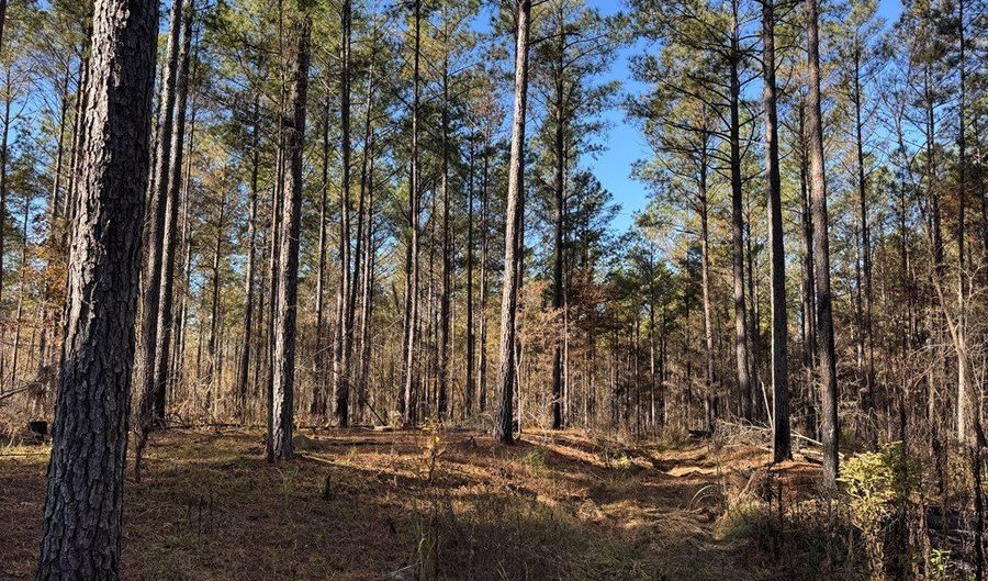 Hwy 9, Bruce, MS 38915 - 0 Beds, 0 Bath