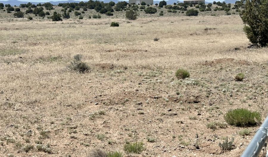 Windsor Valley Ranch Lot 135, Concho, AZ 85924 - 0 Beds, 0 Bath