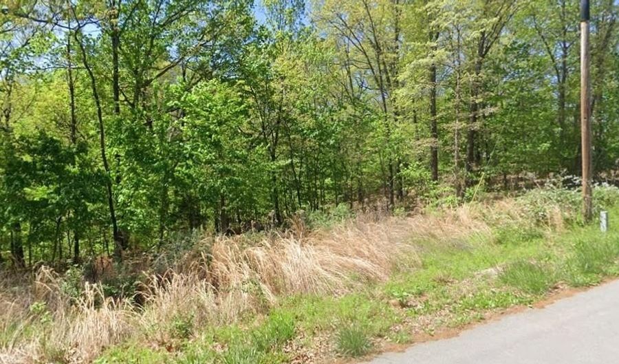 Lot 2 Selkirk DR, Bella Vista, AR 72715 - 0 Beds, 0 Bath