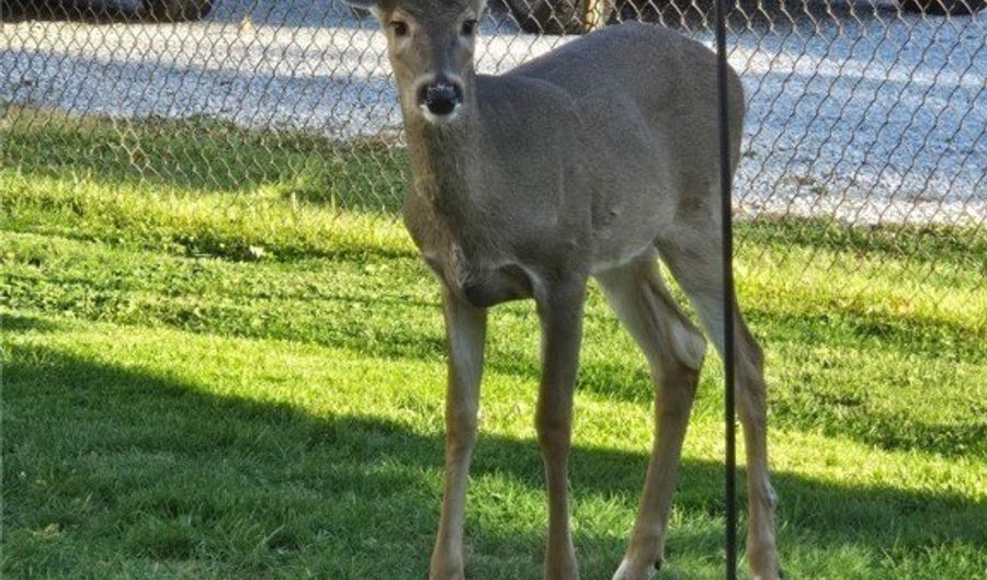 1136 Parkway Blvd, Alliance, OH 44601 - 3 Beds, 2 Bath