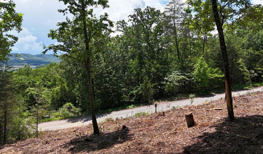 Lot 42 Bayside Boulevard, Bean Station, TN 37708 - 0 Beds, 0 Bath