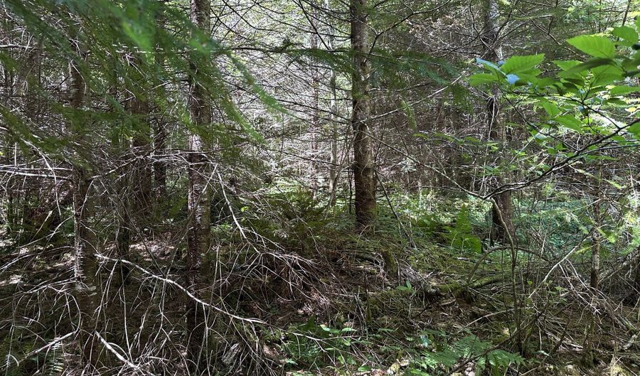 Glenn Creek Rd 300, Allegany, OR 97407 - 0 Beds, 0 Bath
