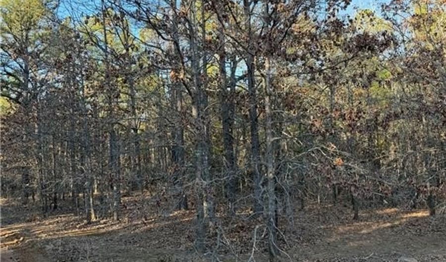 Tract 2 Rural Atoka, Atoka, OK 74525 - 0 Beds, 0 Bath