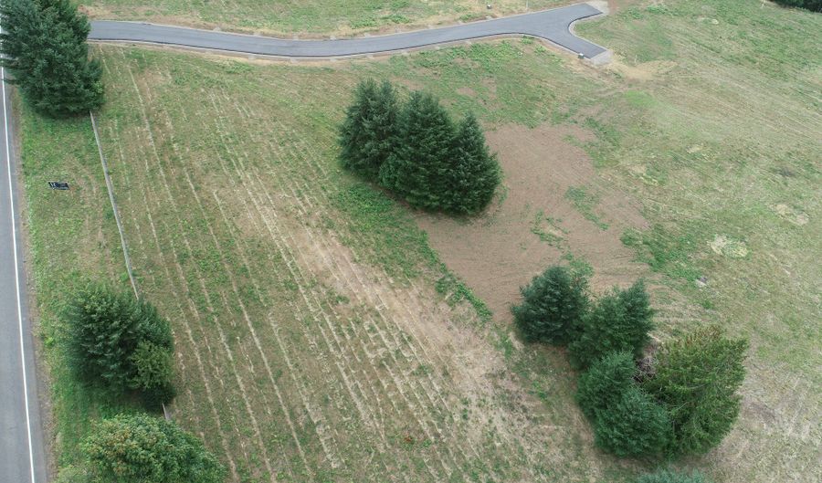 124 Norms Pkwy 1, Ariel, WA 98603 - 0 Beds, 0 Bath