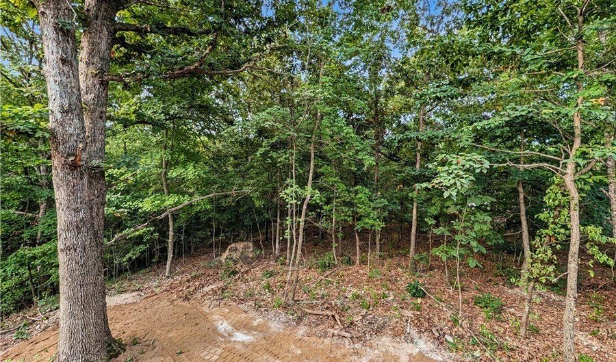 13 Pentland Dr, Bella Vista, AR 72715 - 3 Beds, 3 Bath
