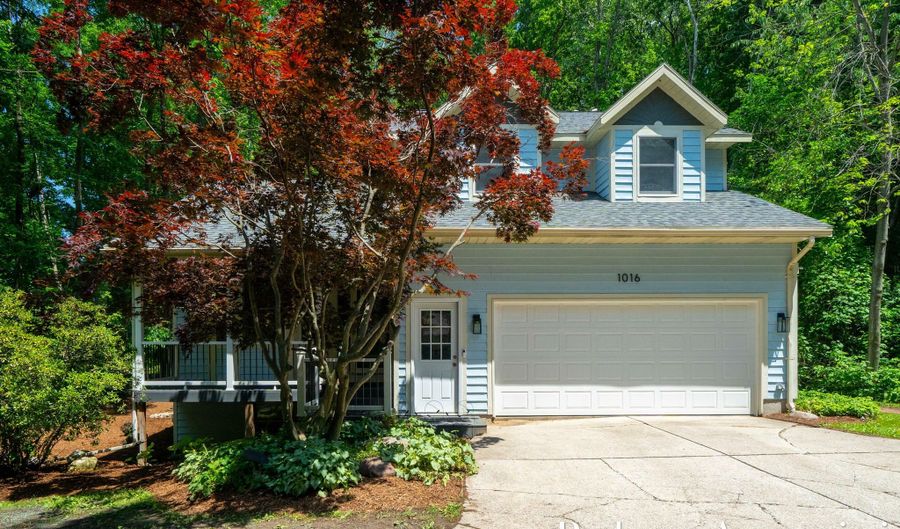 1016 MAPLE HILL Ave SE, Ada, MI 49301 - 4 Beds, 4 Bath