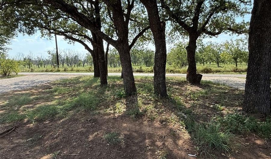 153 Cattail Trl, Millsap, TX 76066 - 3 Beds, 2 Bath