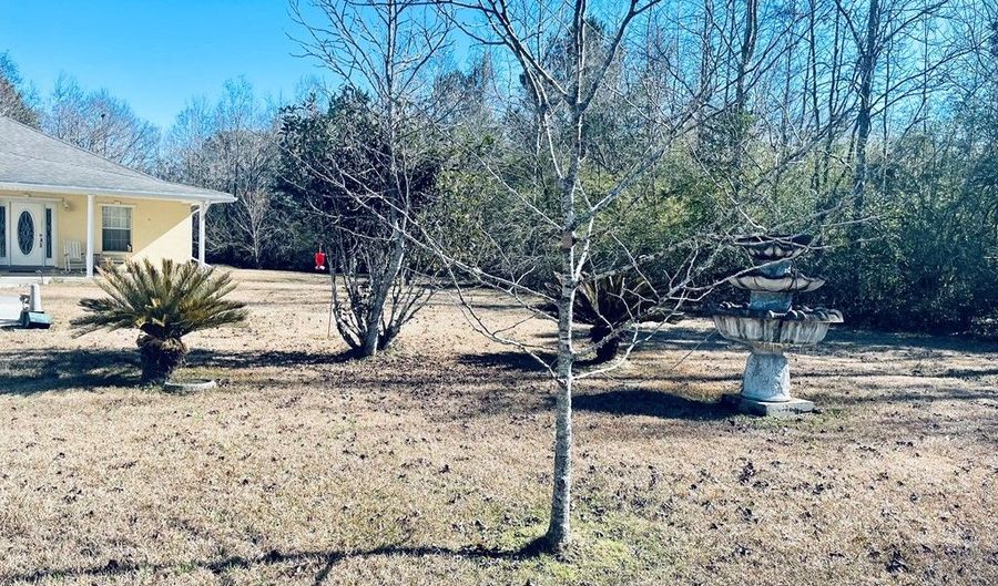 5270 Hwy 43 N, Carriere, MS 39462 - 4 Beds, 3 Bath