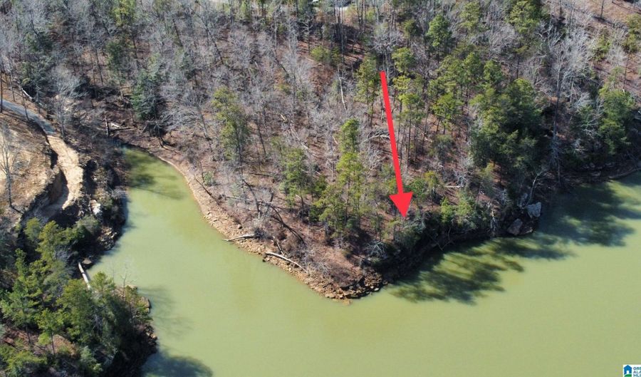 Lot 91 SIPSEY OVERLOOK DRIVE 91, Double Springs, AL 35553 - 0 Beds, 0 Bath