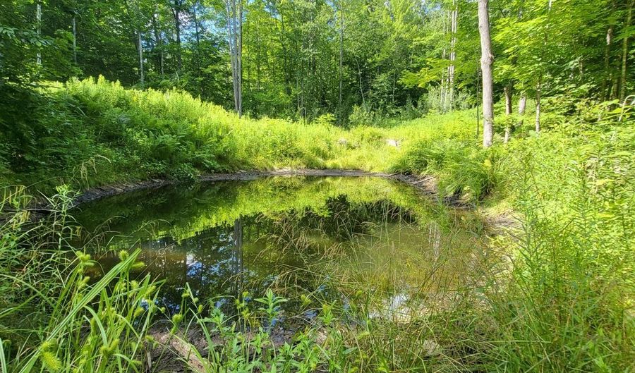 Lot39 Tripptown Road, Hiram, ME 04041 - 0 Beds, 0 Bath