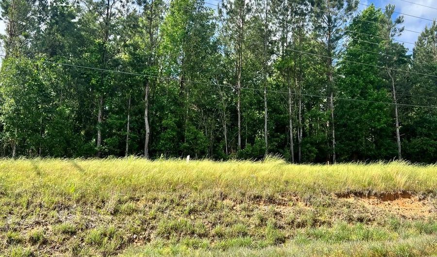 LOT 6 HWY 24, Centreville, MS 39631 - 0 Beds, 0 Bath