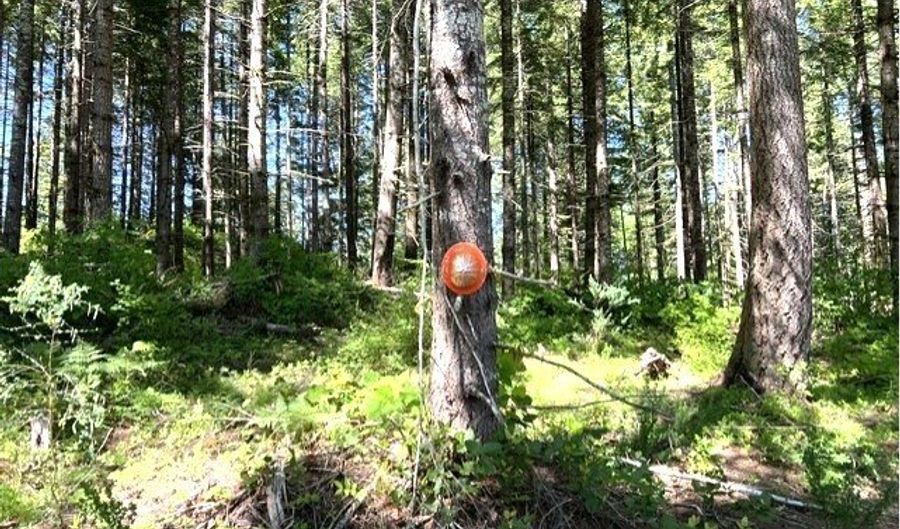 Tunnel Tract Parcel1, Banks, OR 97106 - 0 Beds, 0 Bath