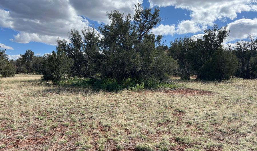 390 N Juniper Ranch Rd 108, Ash Fork, AZ 86320 - 0 Beds, 0 Bath