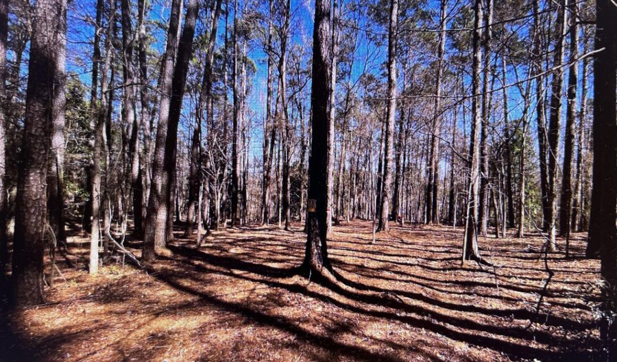 0 Osprey Ln, Martinez, GA 30907 - 0 Beds, 0 Bath