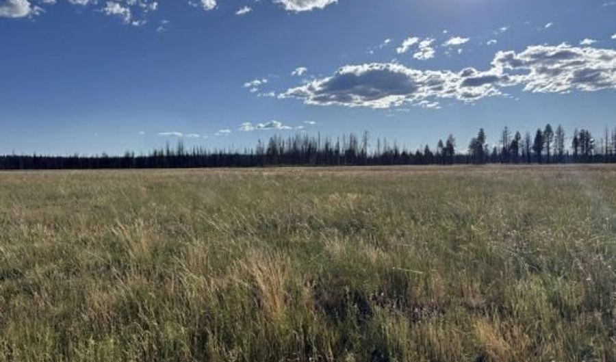 White Birch Way, Bly, OR 97622 - 0 Beds, 0 Bath