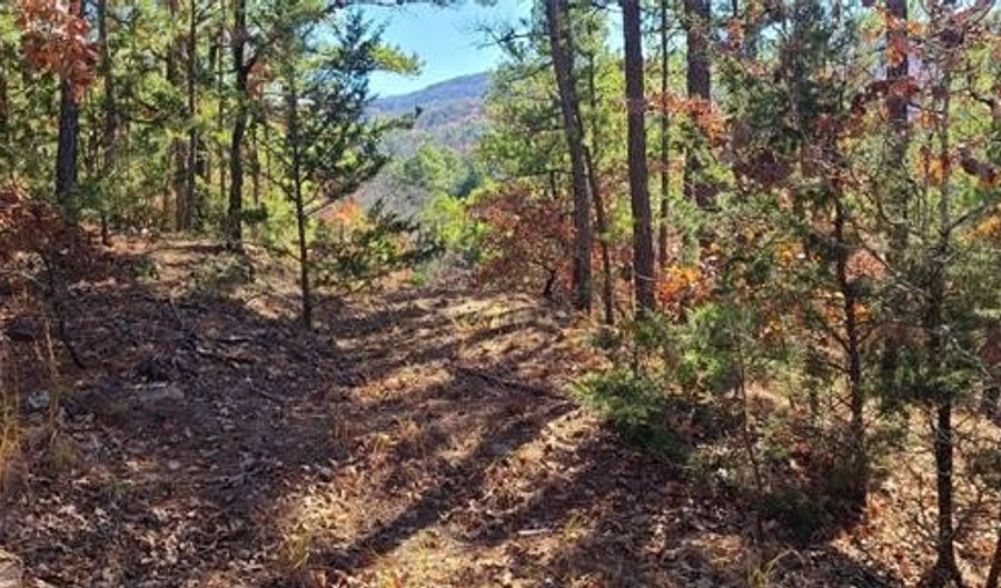 00001 Indian Hwy, Albion, OK 74521 - 0 Beds, 0 Bath