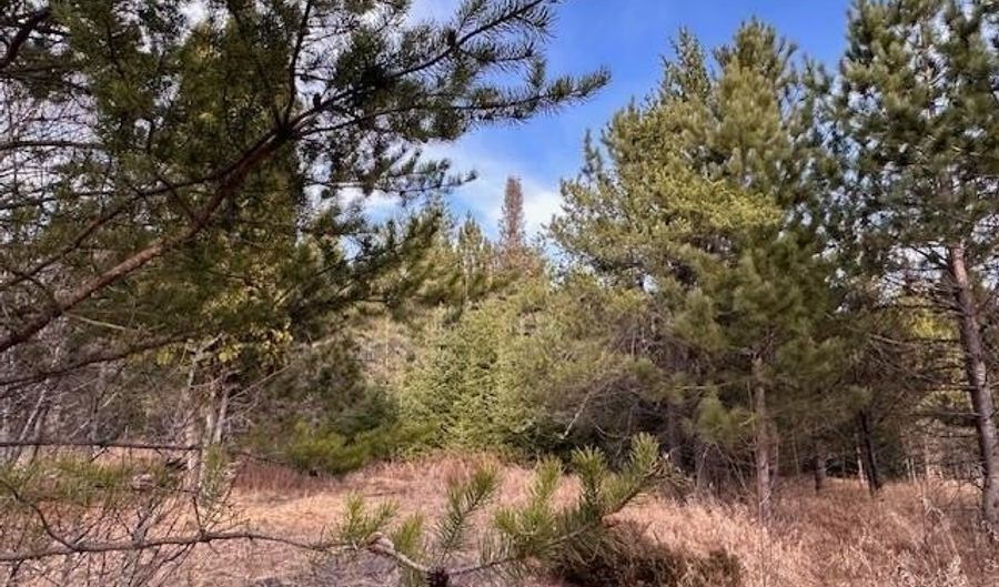 TBD Hwy 21, Babbitt, MN 55706 - 0 Beds, 0 Bath