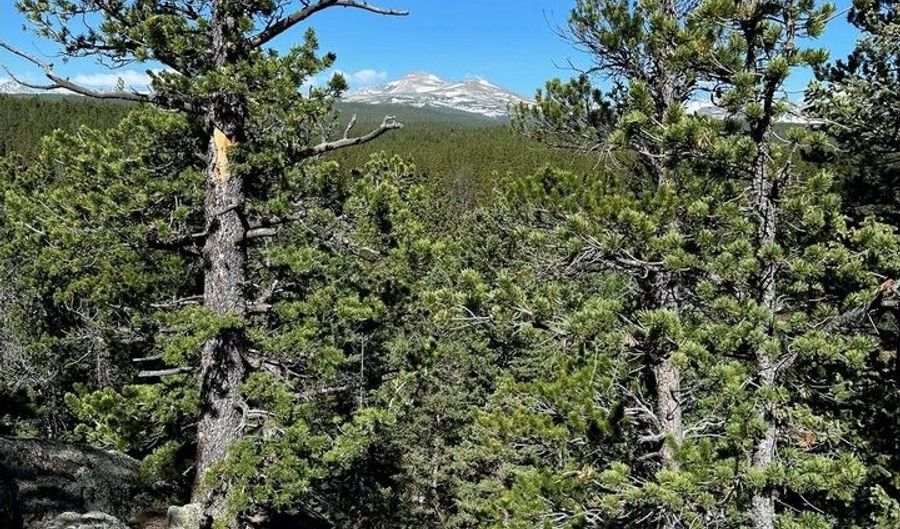 0 Pine Cone Cir Lot 46, Allenspark, CO 80540 - 0 Beds, 0 Bath