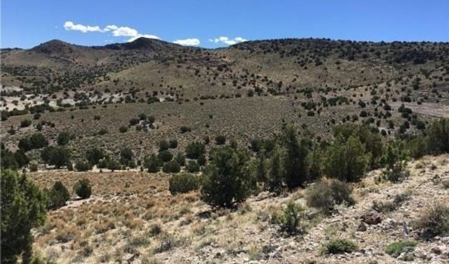 White River Dirt, Ely, NV 89301 - 0 Beds, 0 Bath