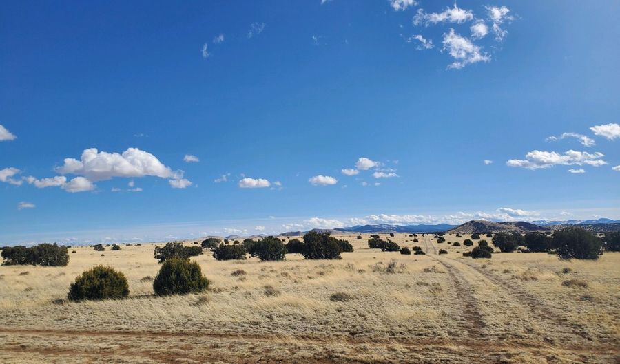 CR 5143, Concho, AZ 85924 - 0 Beds, 0 Bath
