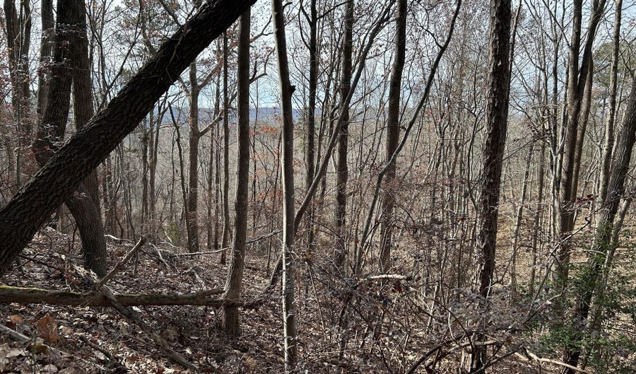 Highway 105, Baldwin, GA 30511 - 0 Beds, 0 Bath