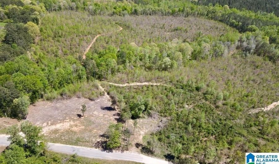 LANDFILL ROAD lot 1, Ashland, AL 36251 - 0 Beds, 0 Bath