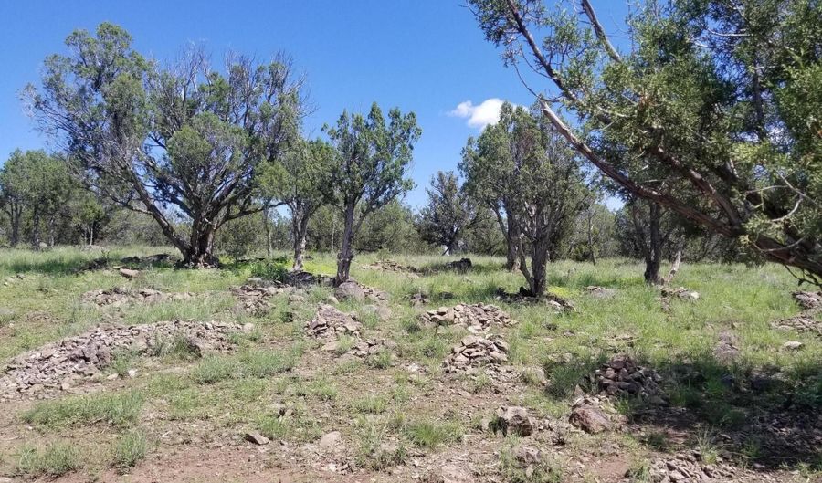 1550 W Joseph Dr, Ash Fork, AZ 86320 - 0 Beds, 0 Bath