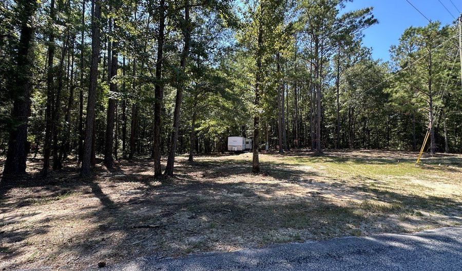 218 Pebble Cove Rd, Abbeville, AL 36310 - 0 Beds, 0 Bath