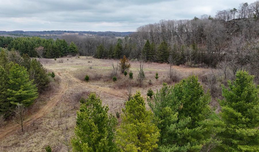 80 Ac Knobs Rd, Arena, WI 53588 - 0 Beds, 0 Bath