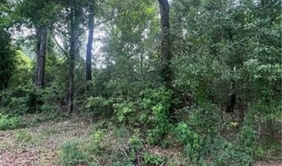 Lot 1 NOLA Lane, Bogalusa, LA 70427 - 0 Beds, 0 Bath