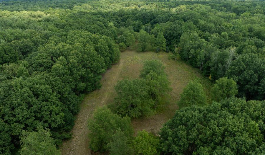 39 Acres N Pingree Rd, Alma, MI 48801 - 0 Beds, 0 Bath