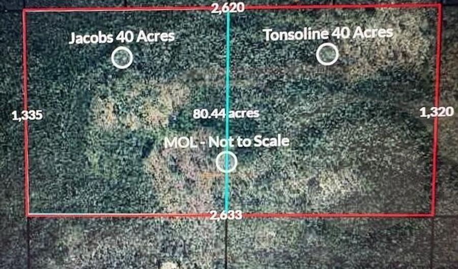 NW Camp Head Road, Altha, FL 32421 - 0 Beds, 0 Bath