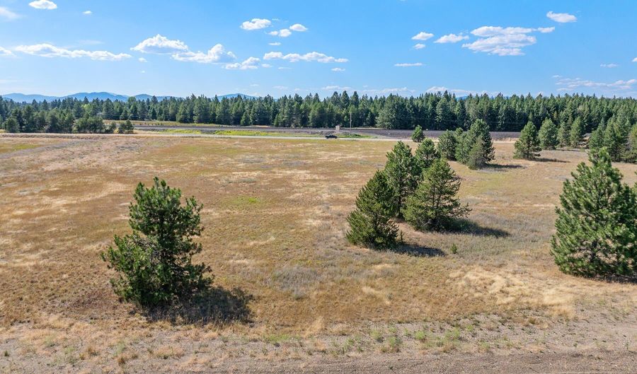 Lot 14 Asulkan St, Athol, ID 83801 - 0 Beds, 0 Bath