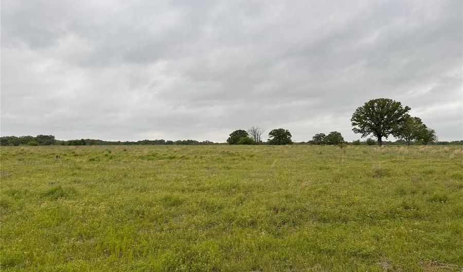 Lot 6 Rains County Rd 2610, Alba, TX 75410 - 0 Beds, 0 Bath