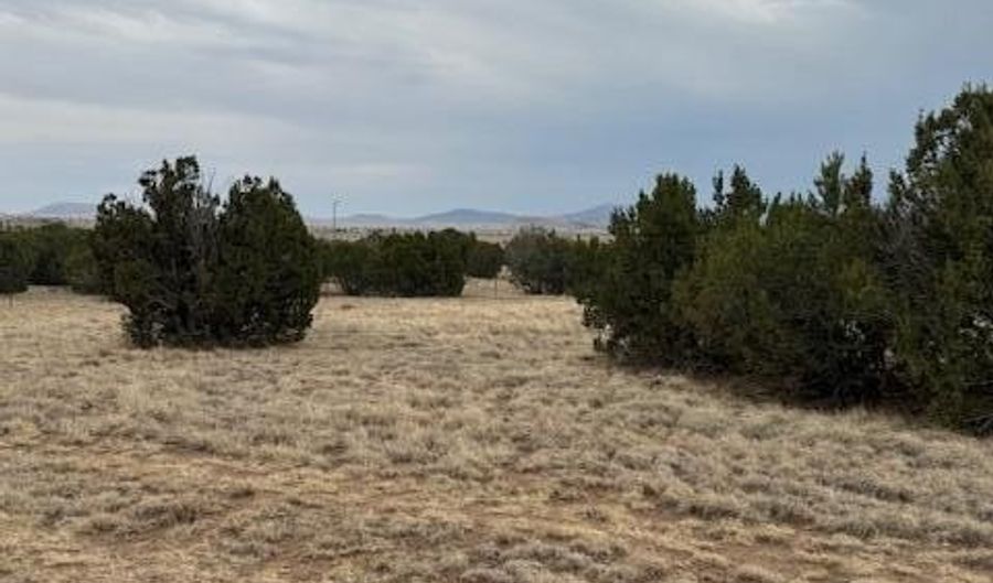 76 County Road 8010, Concho, AZ 85924 - 0 Beds, 0 Bath