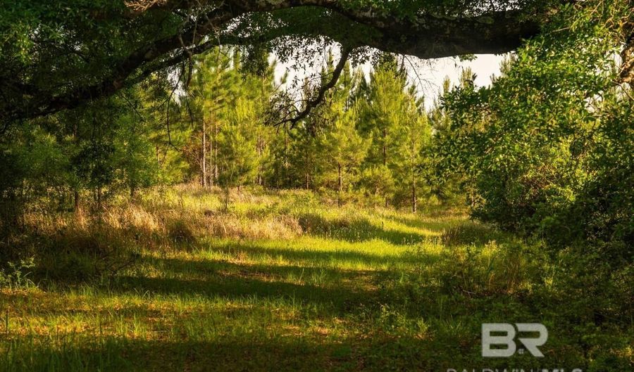 Flowers Road, Bay Minette, AL 36507 - 0 Beds, 0 Bath