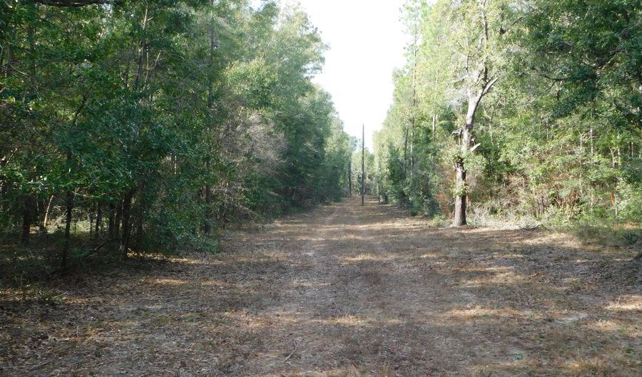 1 6 AC Wilkerson Bluff Rd, Holt, FL 32564 - 0 Beds, 0 Bath