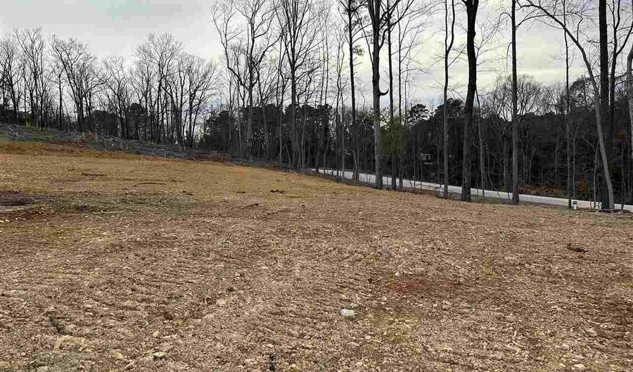 2 50 Ac Tract Green St, Chesterfield, SC 29709 - 0 Beds, 0 Bath