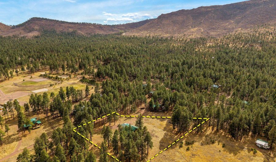 7 A County Road N2312, Alpine, AZ 85920 - 6 Beds, 3 Bath
