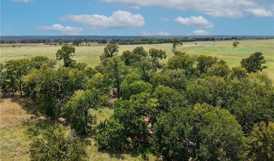 Tbd Tract 5 Fm-2819, Anderson, TX 77830 - 0 Beds, 0 Bath