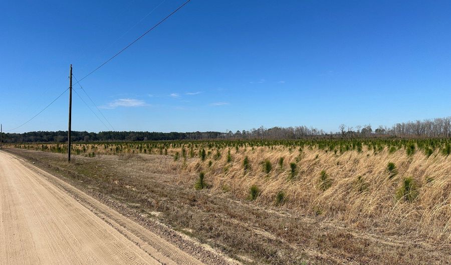 2000-4 Sellers Rd NW, Baxley, GA 31513 - 0 Beds, 0 Bath